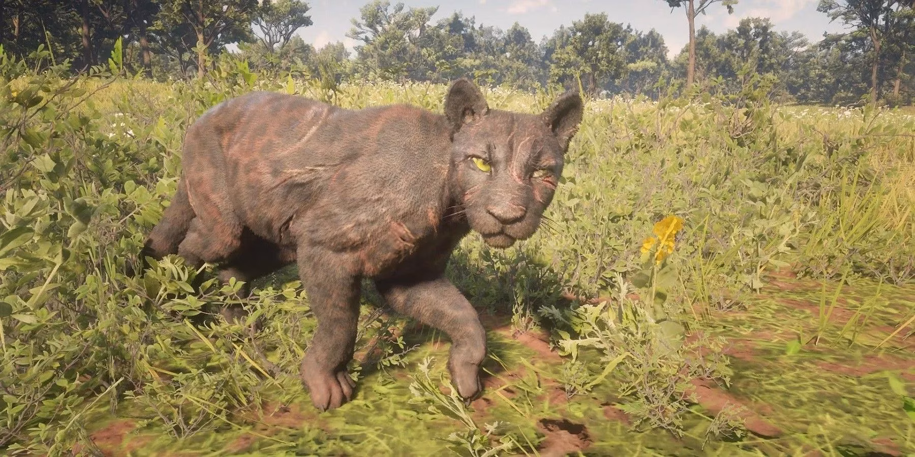 i-killed-a-panther-by-bodyslamming-it-into-a-tree-in-rdr2-and-the-wilderness-will-never-seem-safe-again-image-0