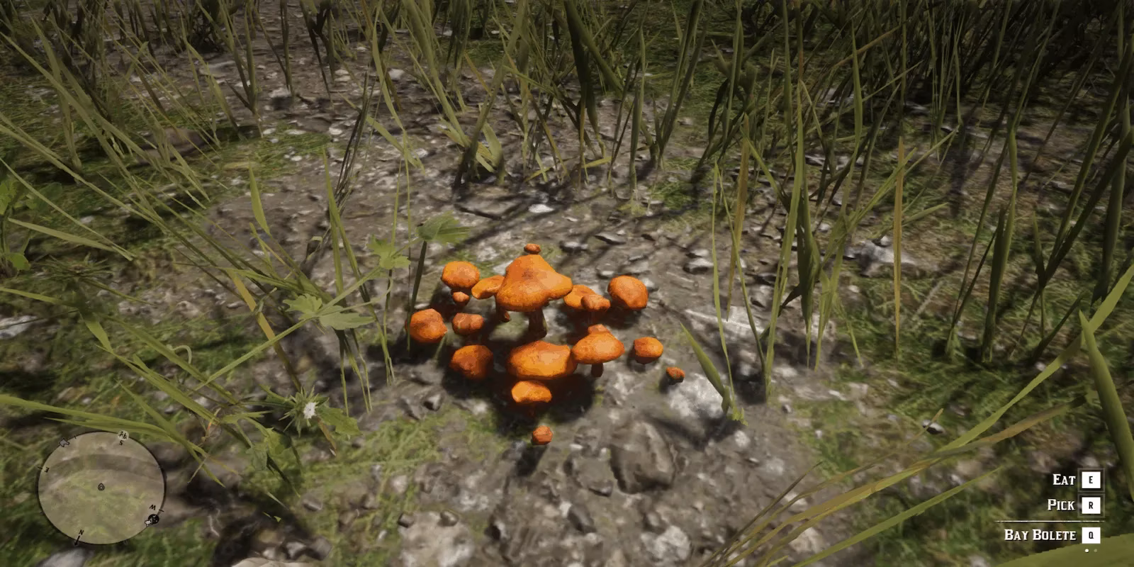 my-obsessive-hunt-for-rdr2-s-fiery-bay-boletes-nature-s-hidden-treasures-image-0