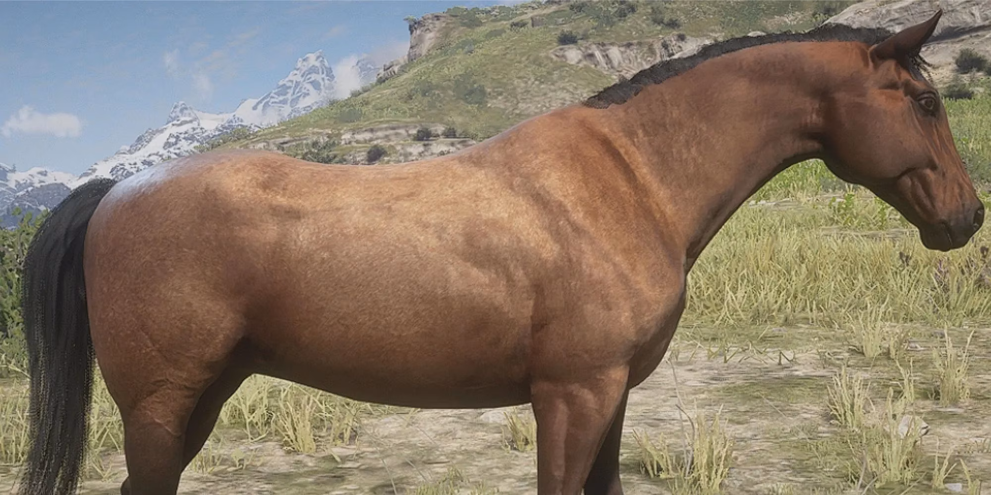 your-ultimate-2026-guide-to-the-best-horses-in-rdr2-from-trusty-steeds-to-speed-demons-image-4